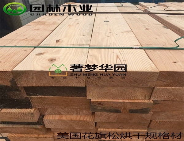 宅男视频污版知识