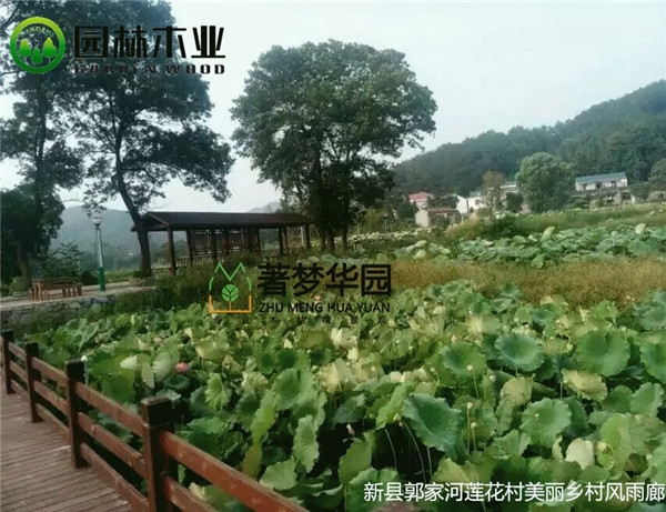 河南宅男视频污版风雨廊